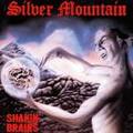 SILVER MOUNTAIN / Shakin' Brains []