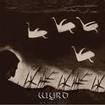 /WYRD / Kalivagi