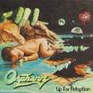 /ORPHANN / Up for Adoption