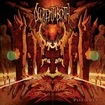 /DECREPIT BIRTH / Polarity （digi)