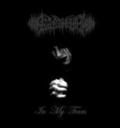 KANASHIMI / In My Tears (3hj []