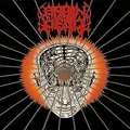 BRIAN DEAD / From the Ecstacy []