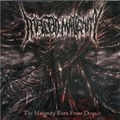 INFECTED MALIGNITY / The Malignity Born from Despair []
