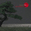 JAPANESE BAND/SILVER TORNADO / Gorgeous Soul 