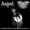 SARGEIST/DROWNING THE LIGHT / split (7 []