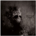 INFESTUS / Exist []