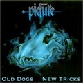 PICTURE / Old Dogs New Tricks []