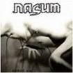 /NASUM / Human 2.0