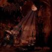 /STERBEND / Dwelling Lifeless (digi/2011)