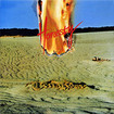 JAPANESE BAND/TERRA ROSA / Honesty (国)