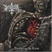 JAPANESE BAND/DRAUGAR / Weathering the Curse