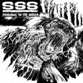 SSS / Problems to the Answer []