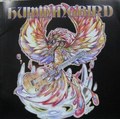 HUMMINGBIRD / s/t []