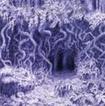 /ILDJARN / Forest Poetry