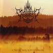 /STORMHEIT / Caelic Weold Finnum