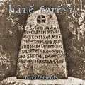 HATE FOREST / battlefields (digi) []