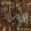 BOWEL STEW / Mondo Morbo []