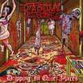 INTESTINAL DISGORGE / Dripping in Quiet Places []