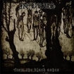/NEBRUS / From the black ashes