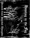 /HOWLING IN THE FOG / Drained From Suicidal Thoughts (TAPE)