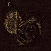 /THY DARKENED SHADE / Eternvs Mos Nex Ritvus