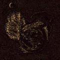 THY DARKENED SHADE / Eternvs Mos Nex Ritvus []