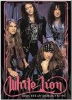 DVD/WHITE LION / Concert Anthology 1987-1991 (DVD/CD)