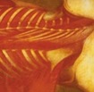 /BUTCHER ABC/GENERAL SURGERY / Split