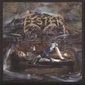 FESTER / A Celebration of Death []