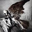 /MORGOTH / Cursed to Live