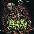 V.A. / Brutal Disaster -Chapter Sick []