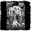 RITUAL LAIR / Morbid Ritual of the Insane []