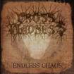 /CROSS MADNESS / Endless Chaos