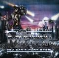 THE MORNING AFTER / You Can't Hurt Steel []