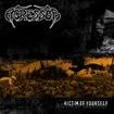 THRASH METAL/AGRESSOR / Victim of Yourself