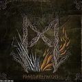 FORTID / Pagan Prophecies (digi) []