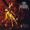 /NUNSLAUGHTER / Hex