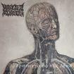 /MANGLED TORSOS / Drawings of the Dead