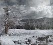 /WEDARD / Eiskrieg�U(digi) 