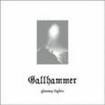 /GALLHAMMER / Gloomy Lights (digi)