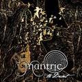 MANTRIC / Descent (digi) []