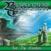 JAPANESE BAND/BURNING EMOTION / Feel the Emotion