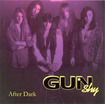 /GUN SHY / After Dark
