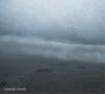 JAPANESE BAND/FUNERAL MOTH / Dense Fog (digi)