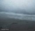 FUNERAL MOTH / Dense Fog (digi) []