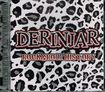 JAPANESE BAND/DERINJAR / Rock & Roll History