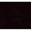 ABIGOR / Time is the Sulphur in the Veins of the Saint (box) []