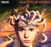 N.W.O.B.H.M./BRIAR / Crown of Thorns