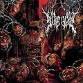 GOREVENT / Abnormal Exaggeration []