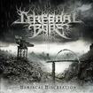 中古２/CEREBRAL BORE / Maniacal ~(中古）